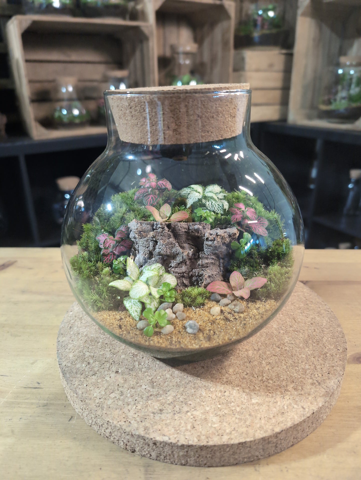 Ready-made Terrarium – George Jar