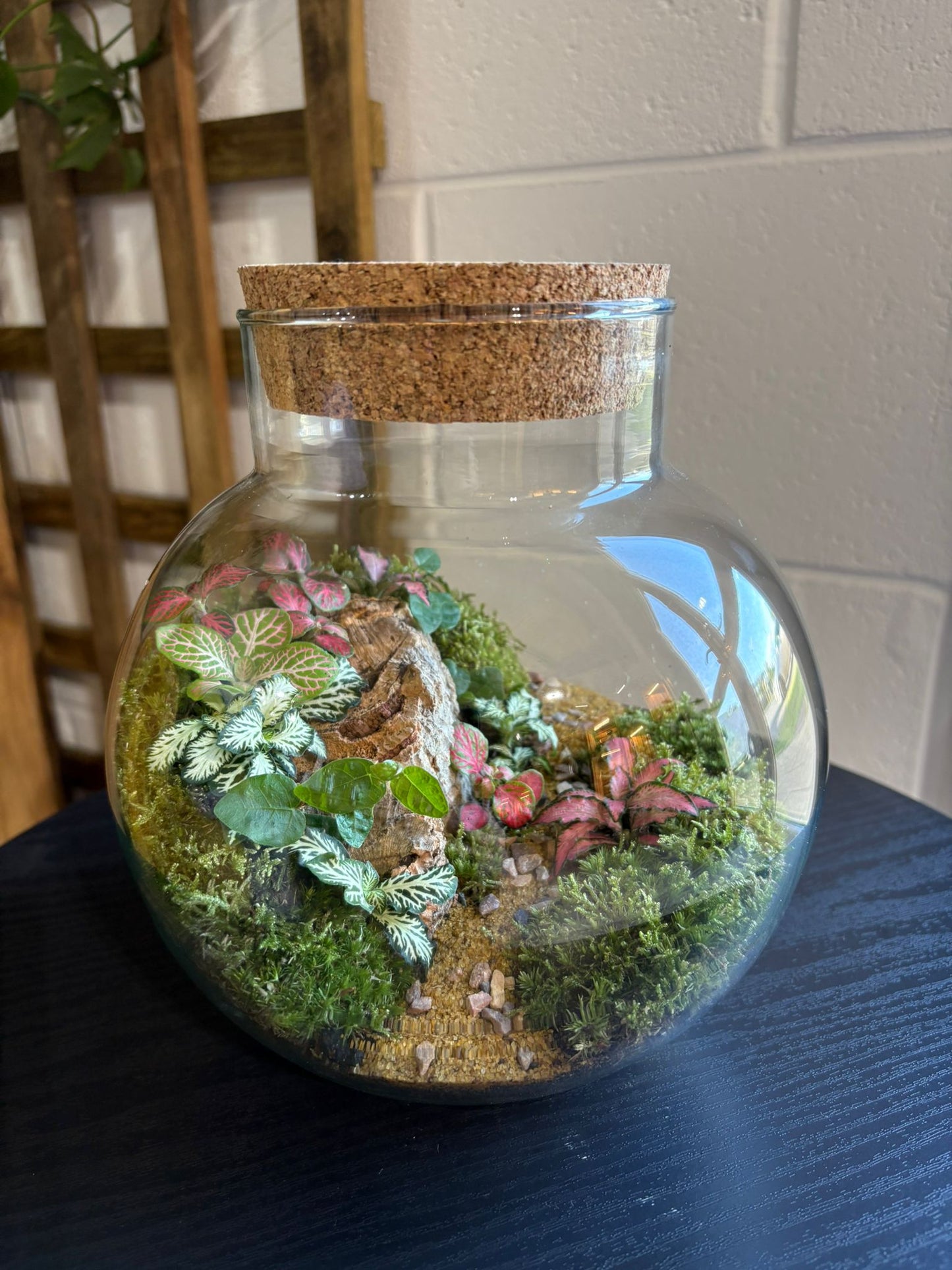 Ready-made Terrarium – George Jar