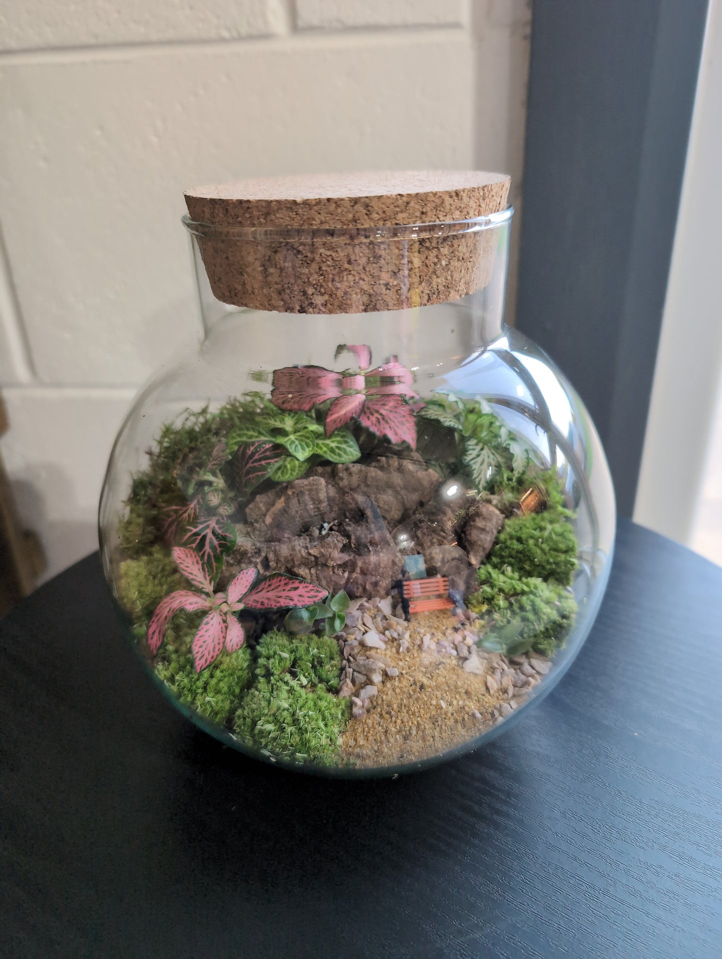 Ready-made Terrarium – George Jar