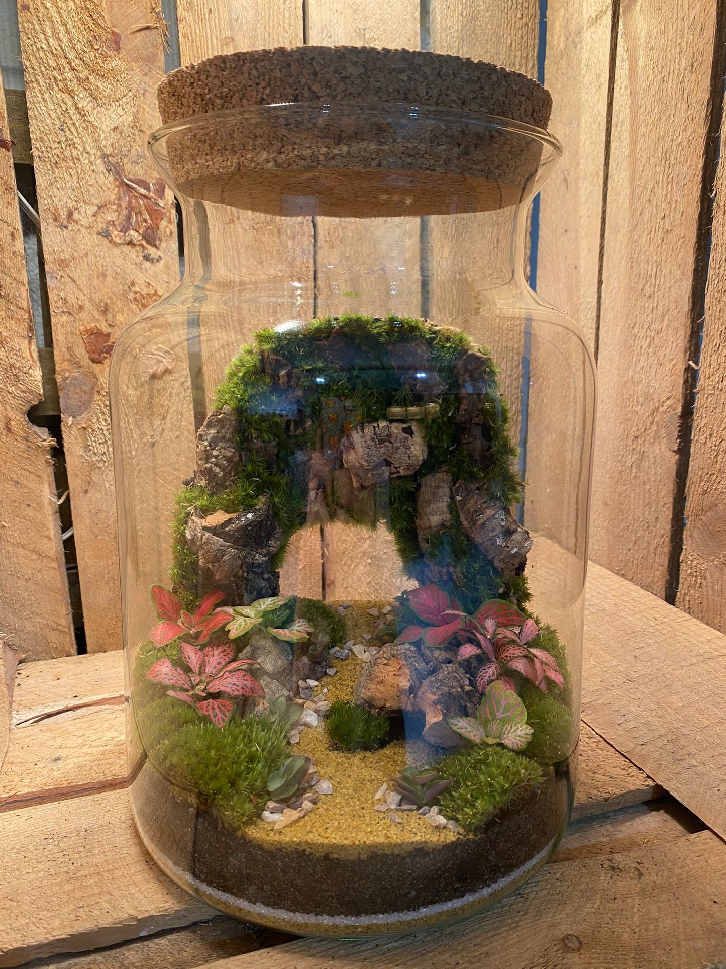 Ready-made Terrarium – Unique Jar