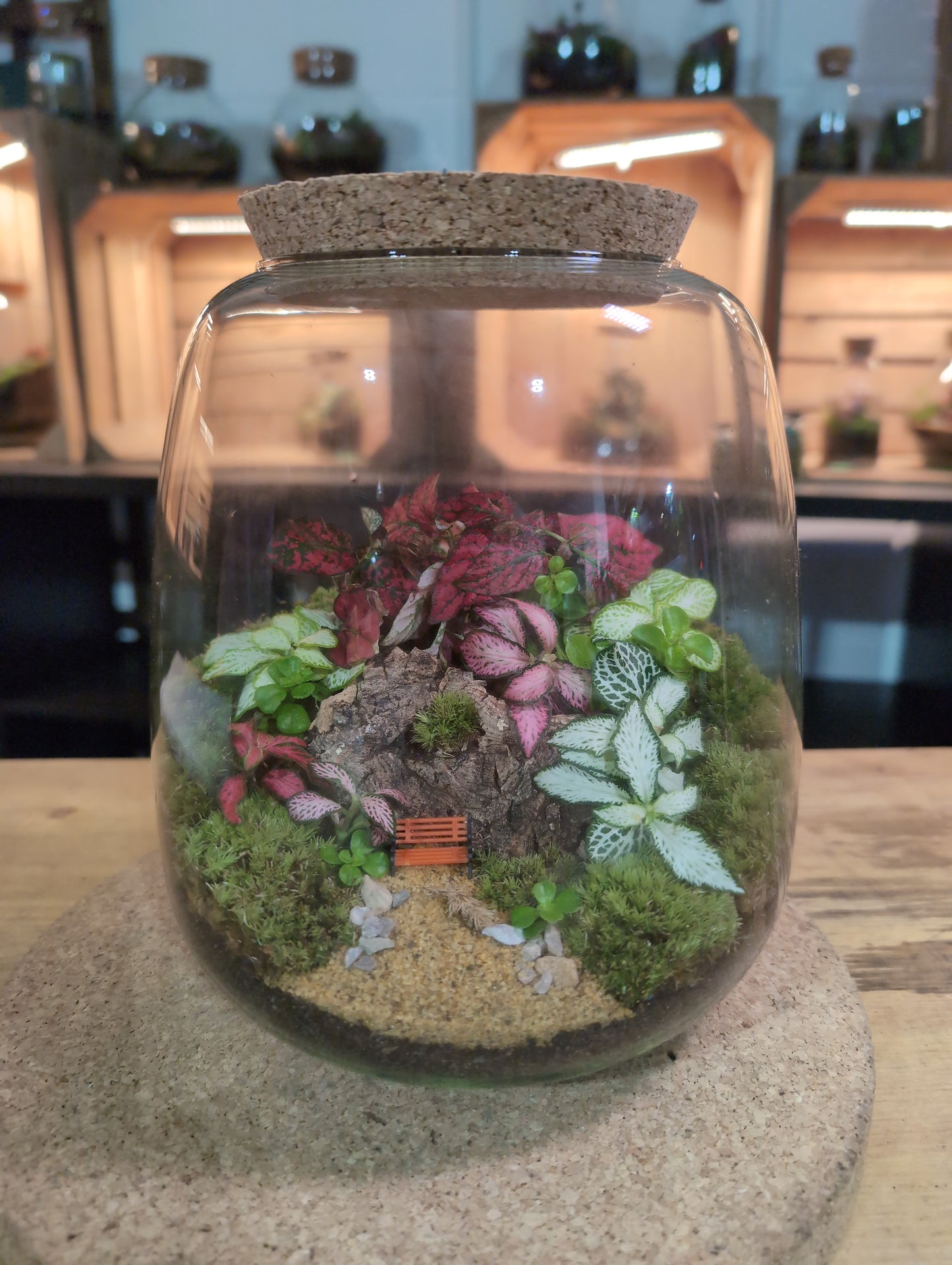 Ready-made Terrarium – Anna Jar