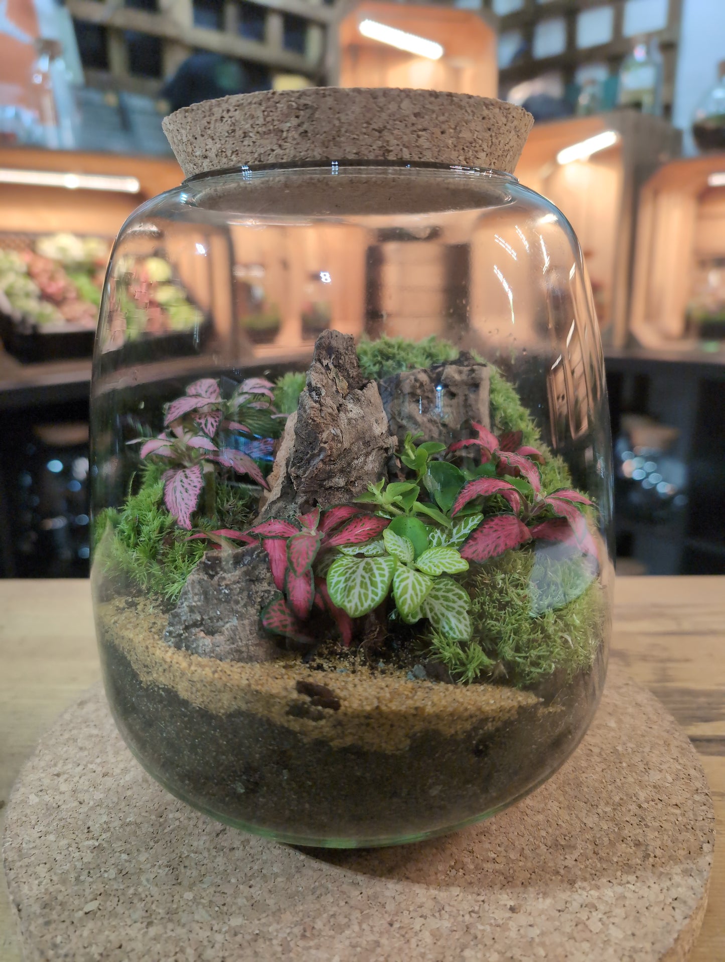Ready-made Terrarium – Anna Jar