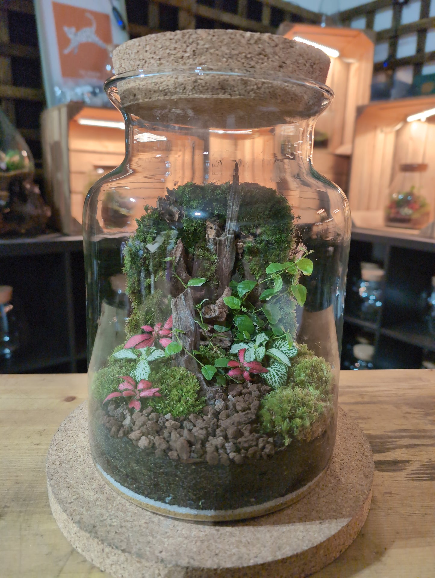 Ready-made Terrarium – Unique Jar