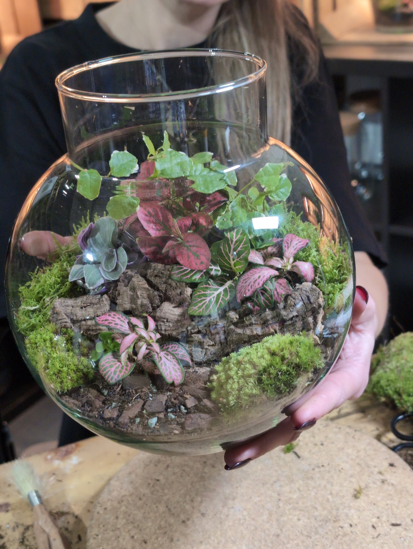 Ready-made Terrarium – George Jar