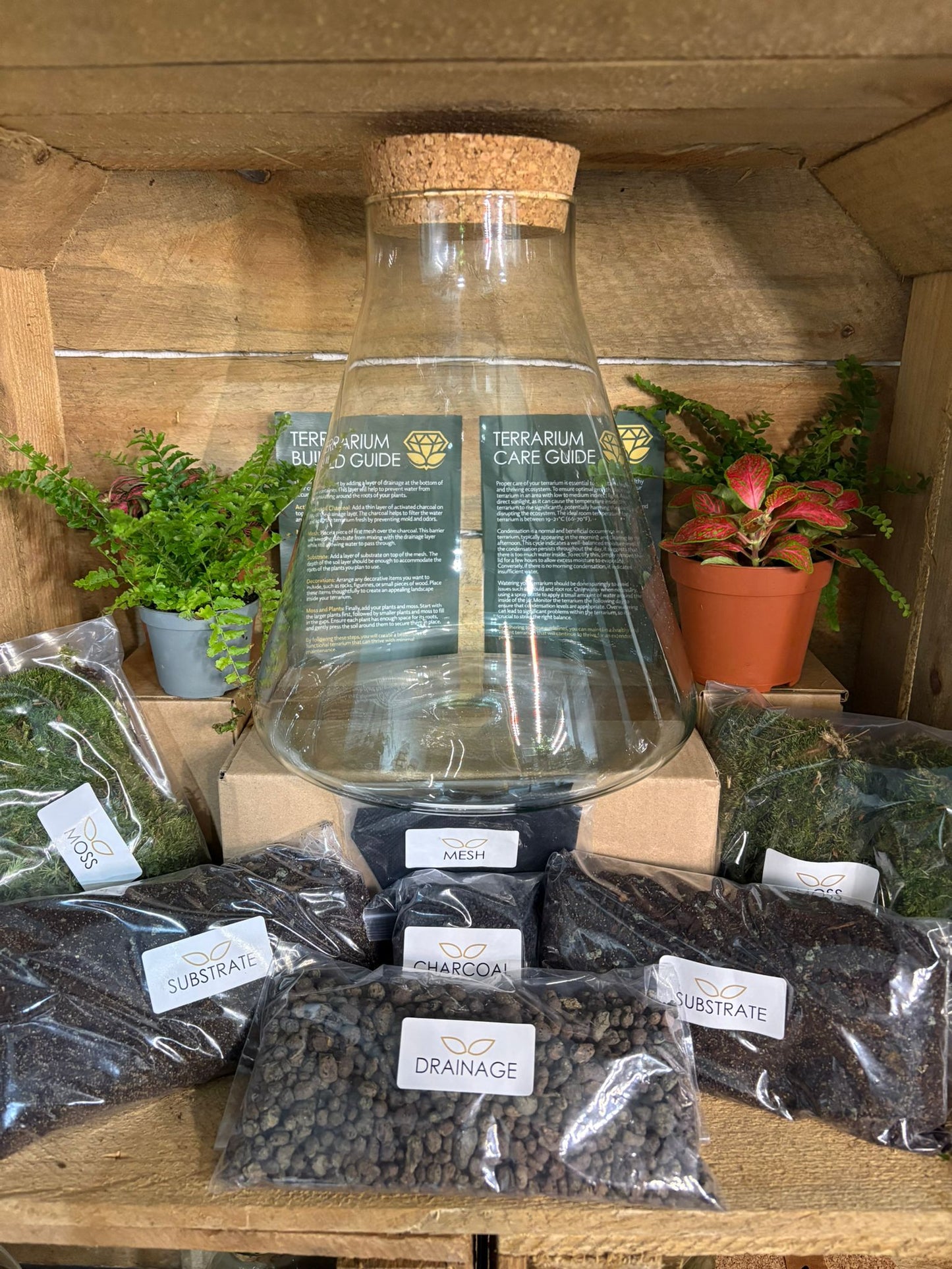 DIY Terrarium Kit - 'Verity'