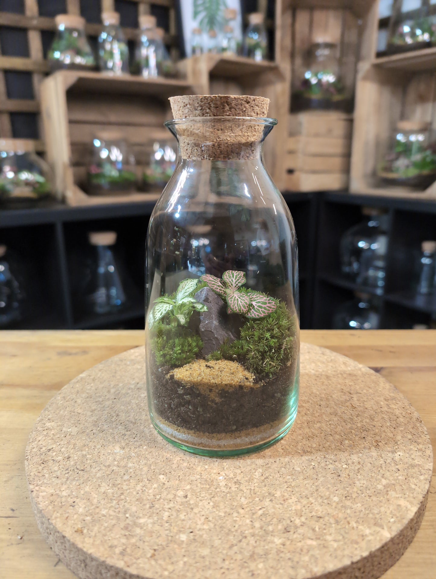 Ready-made Terrarium – Chloe Jar