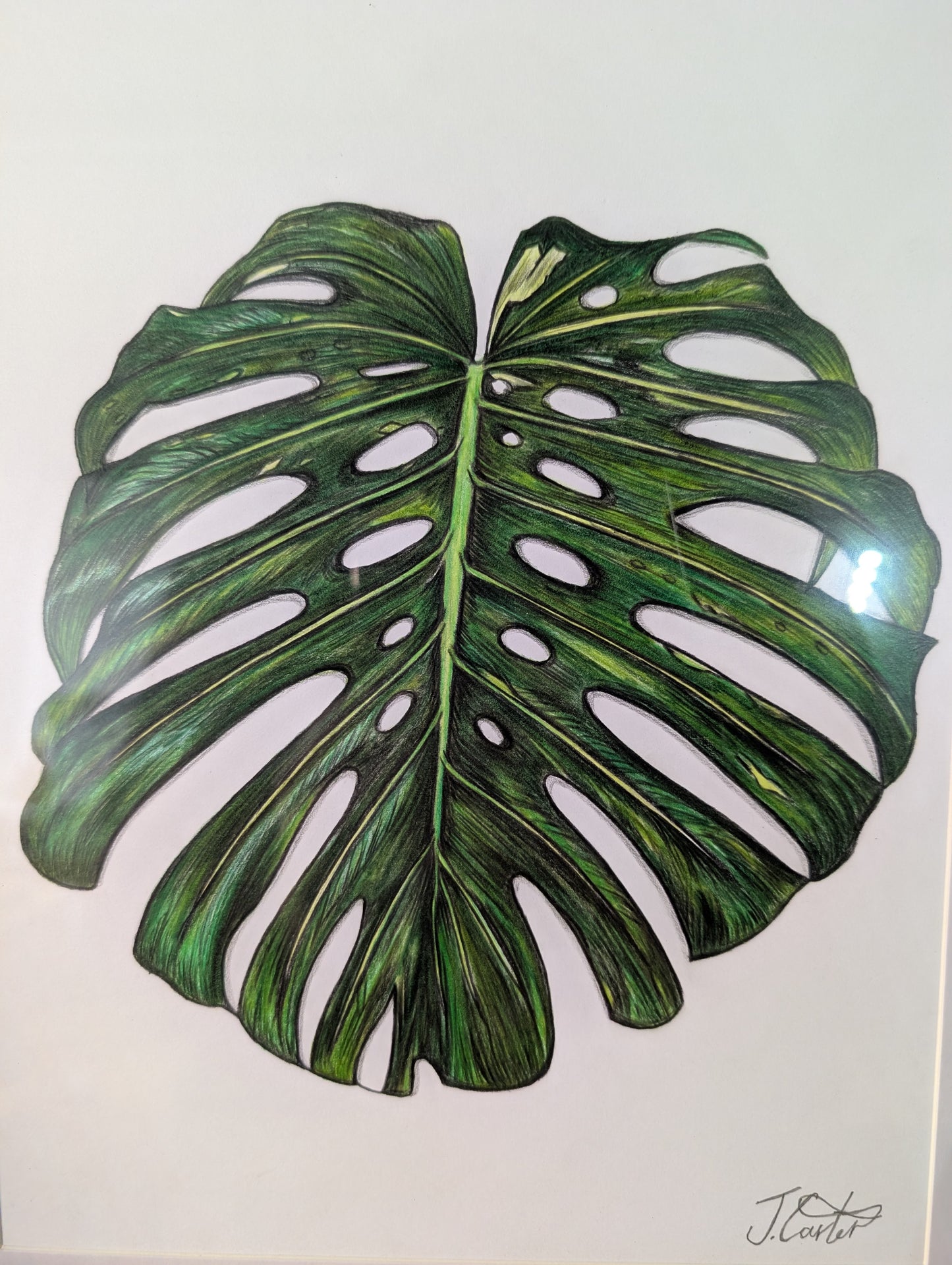 Limited Edition Monstera Print