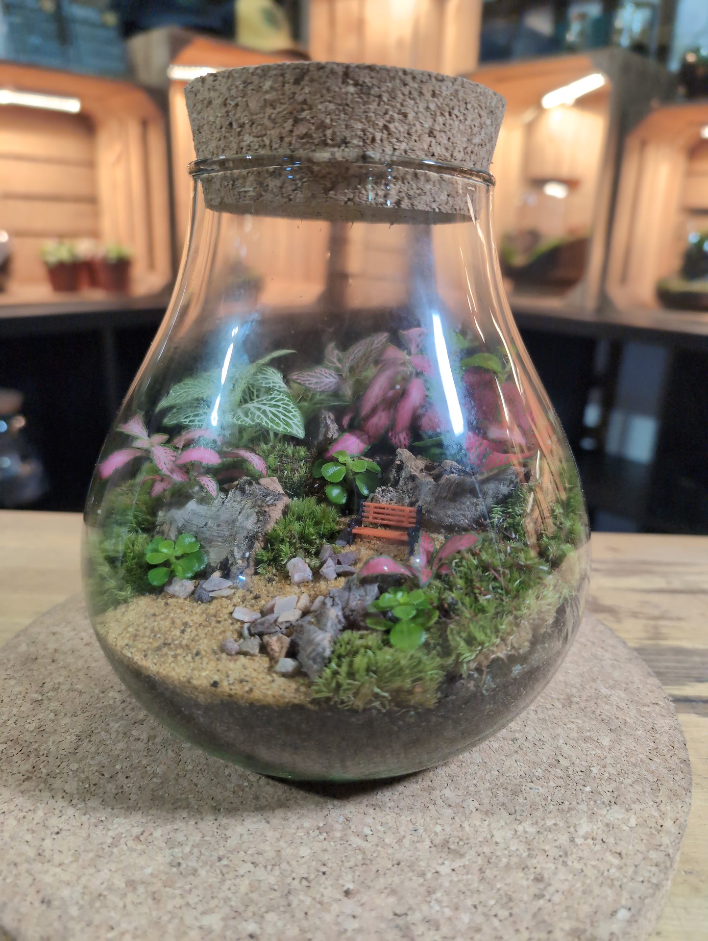 Ready-made Terrarium – Fran Jar