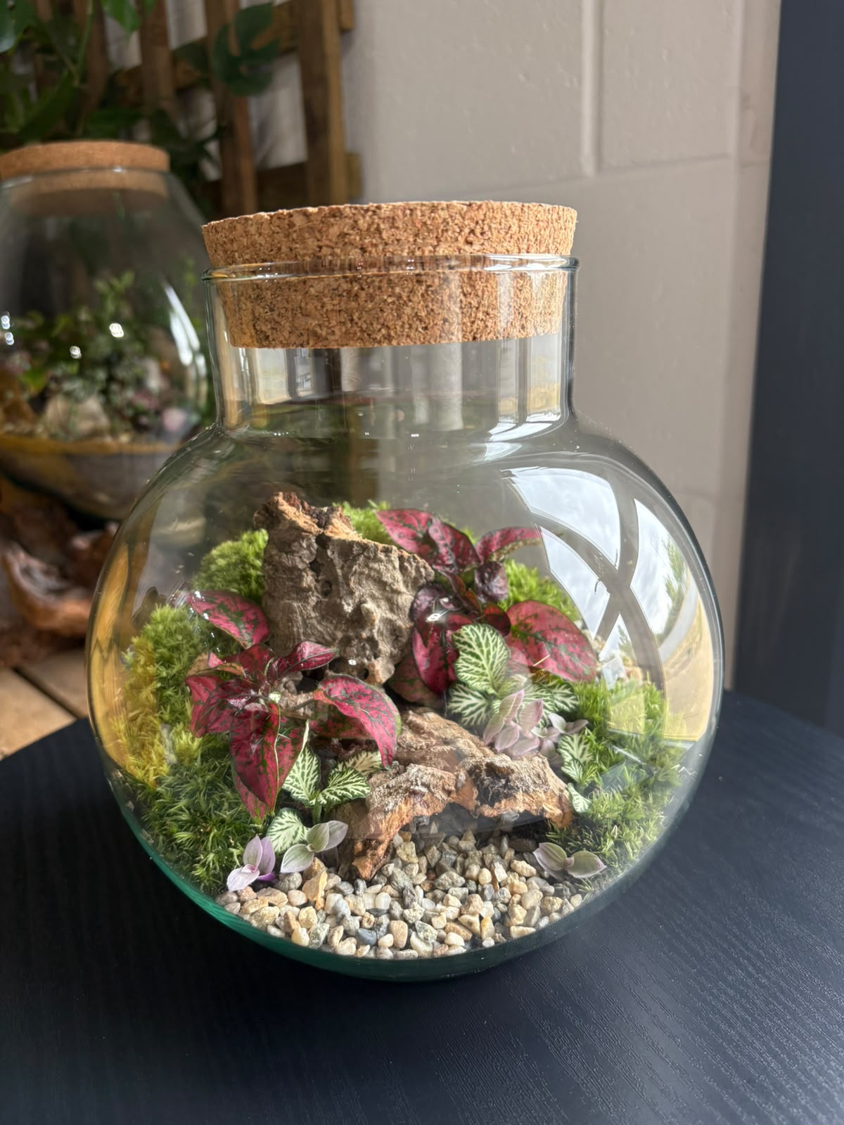 Ready-made Terrarium – George Jar