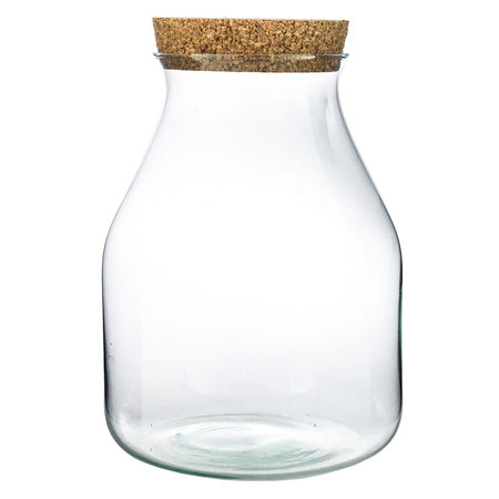 PREORDER - Ready-made Terrarium