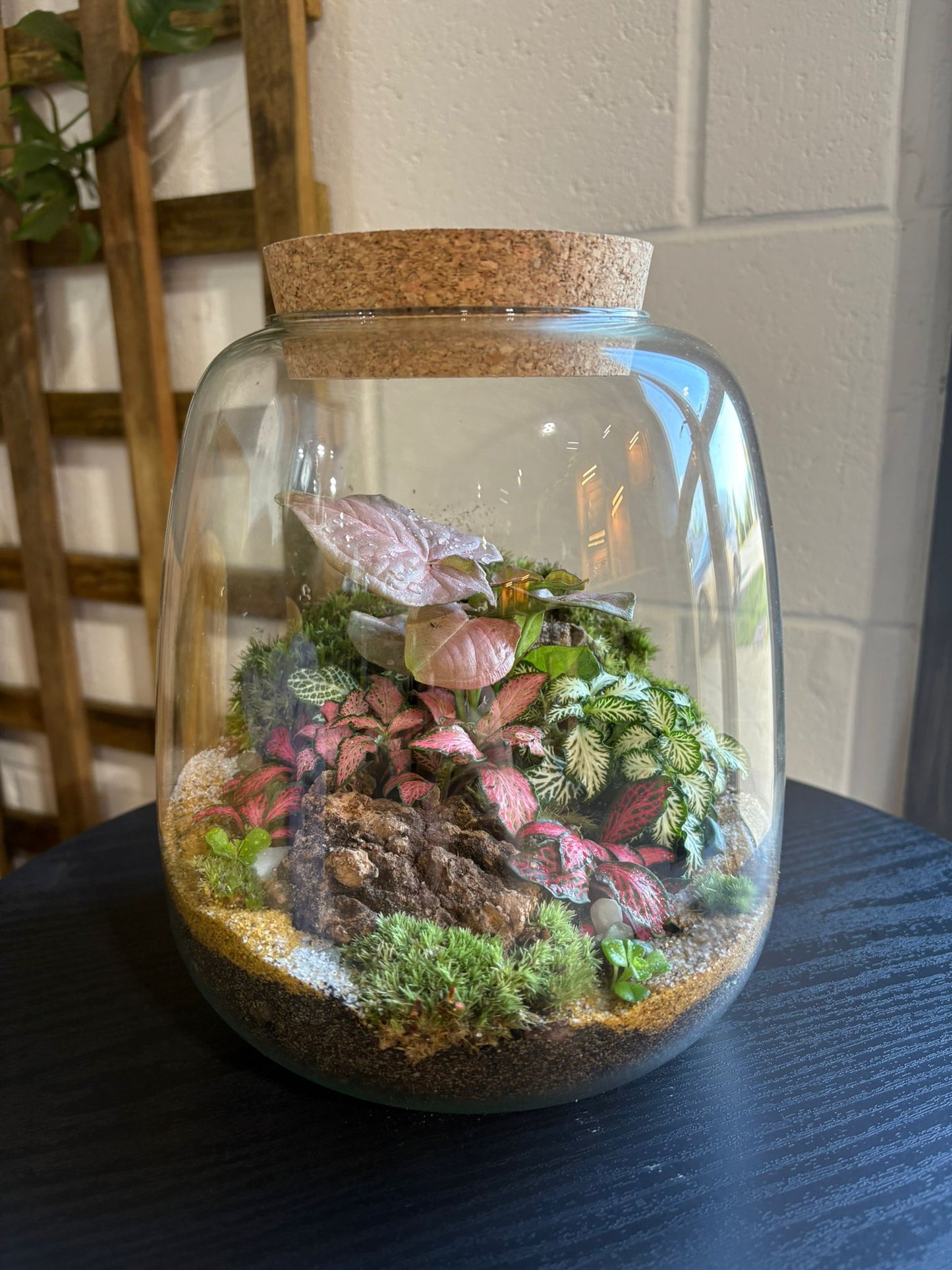 Ready-made Terrarium – Anna Jar