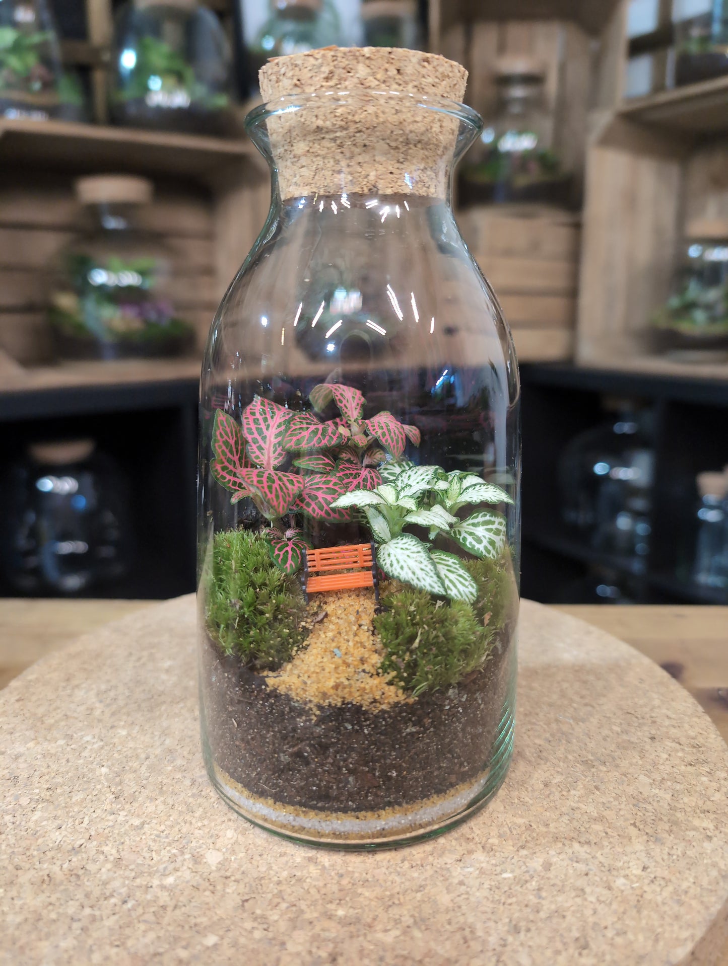 Ready-made Terrarium – Chloe Jar