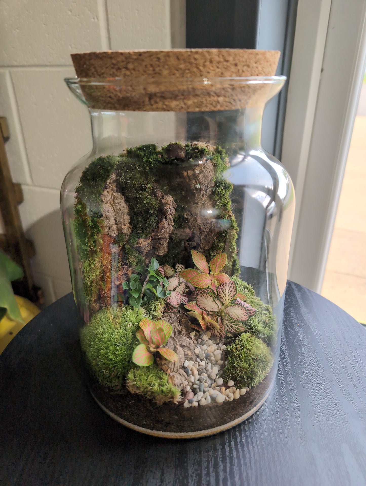 Ready-made Terrarium – Unique Jar