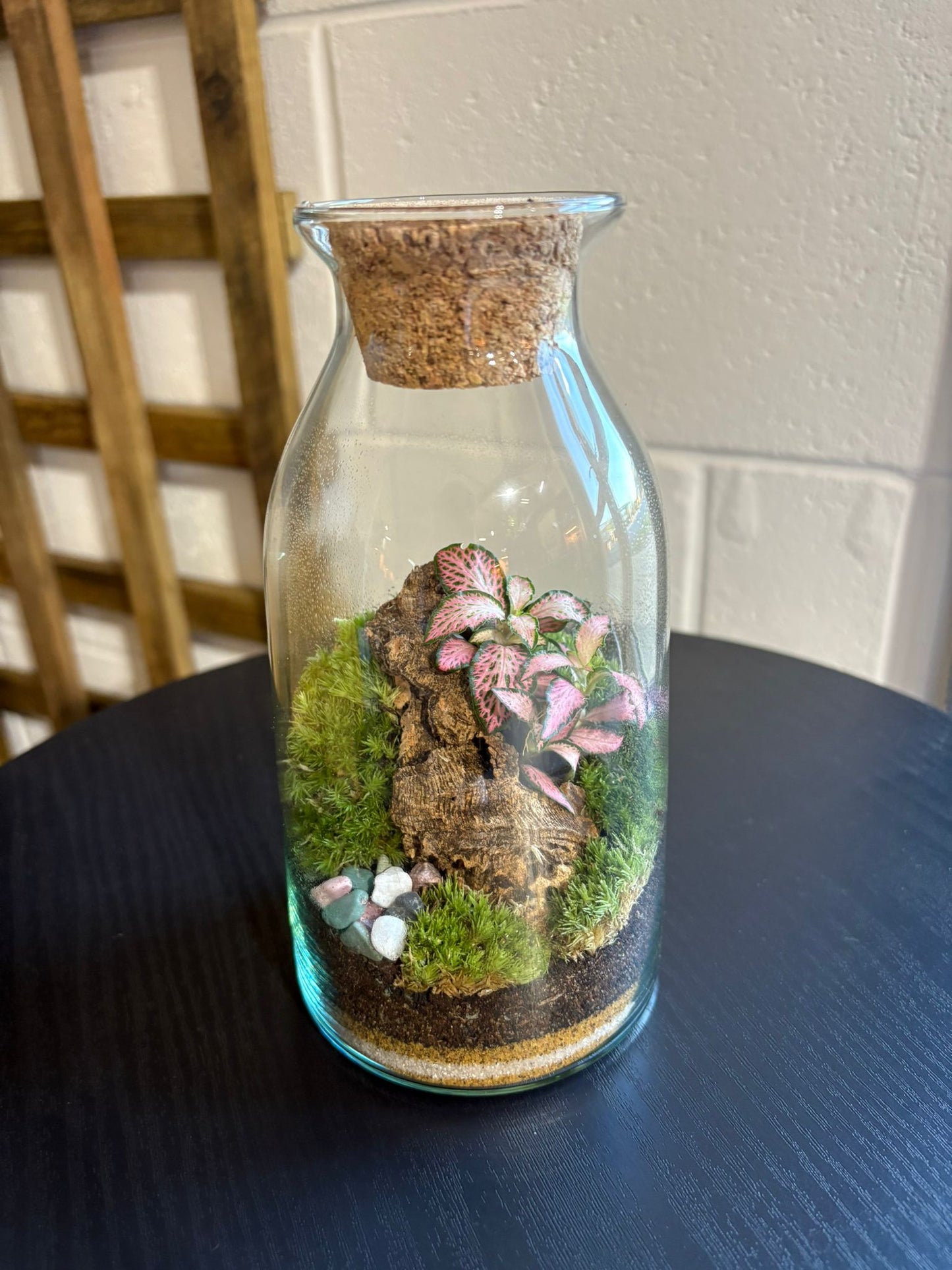 Ready-made Terrarium – Chloe Jar