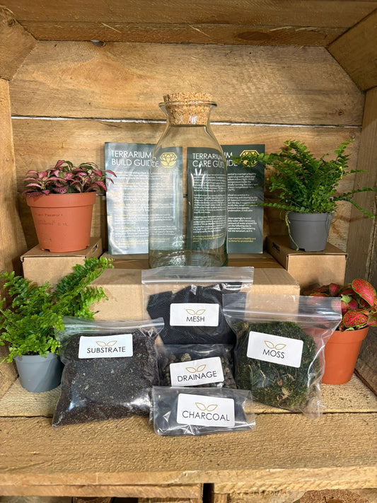 DIY Terrarium Kit - 'Aaron'