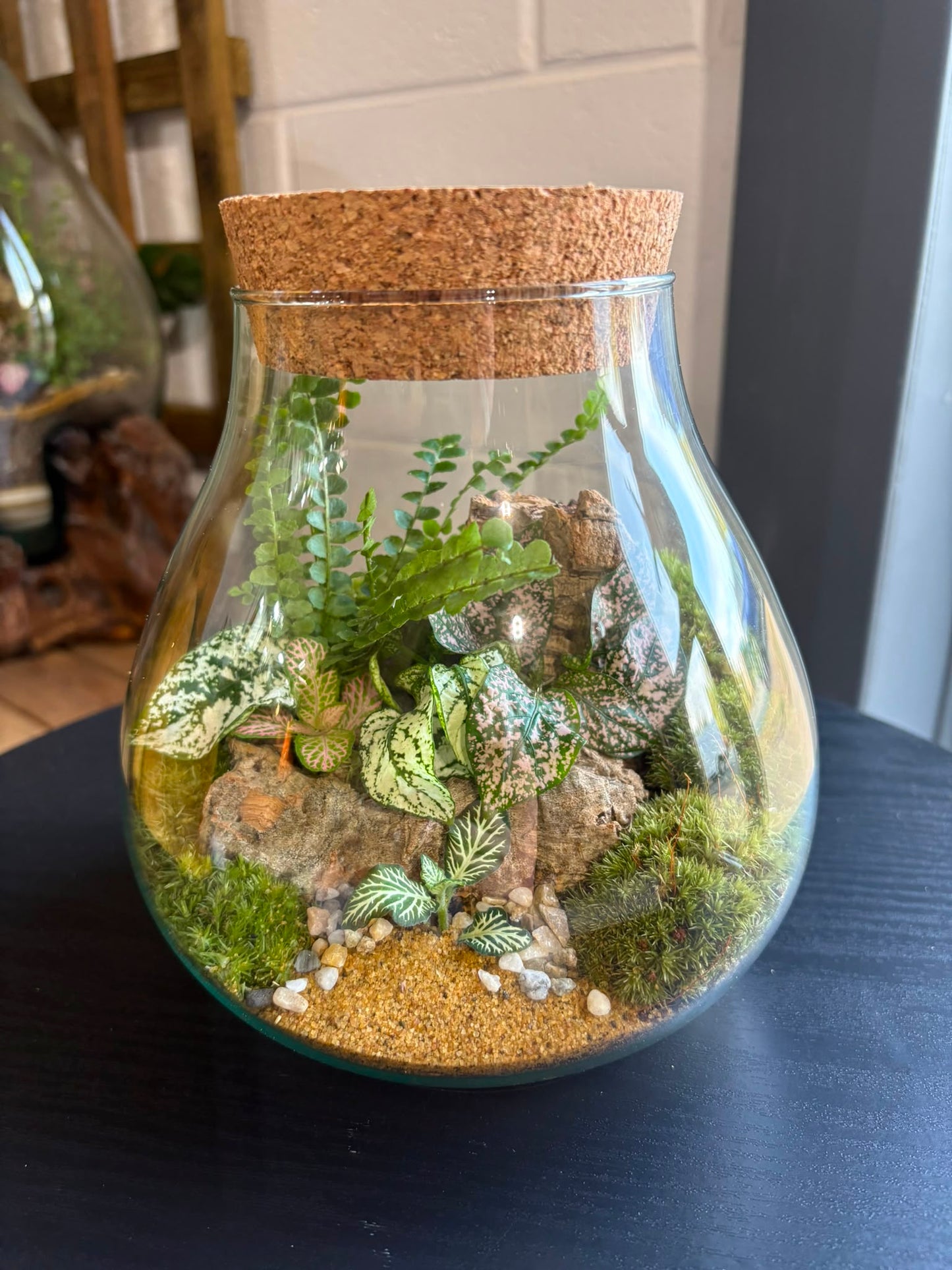 Ready-made Terrarium – Fran Jar