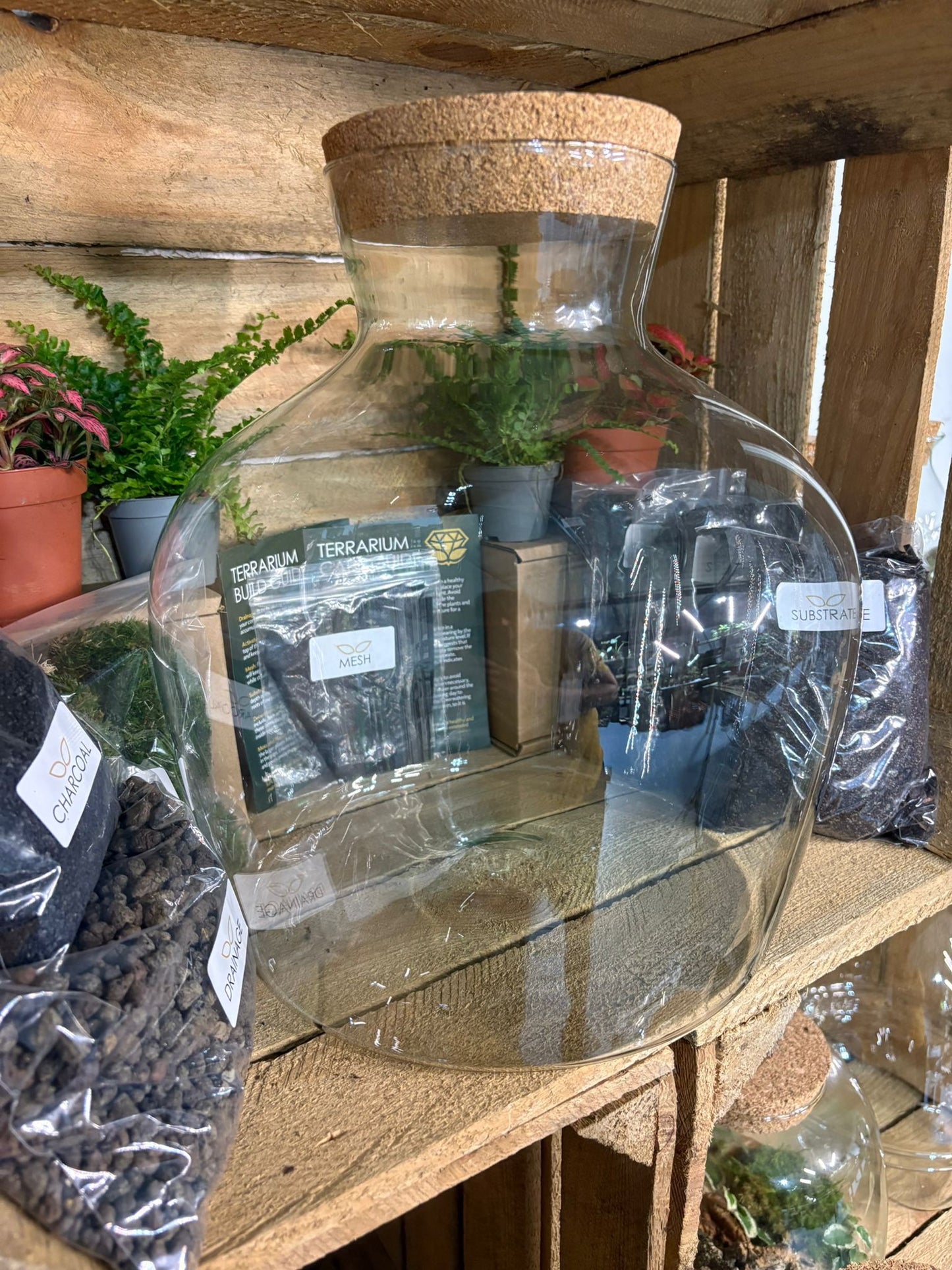 DIY Terrarium Kit - 'Matthew'