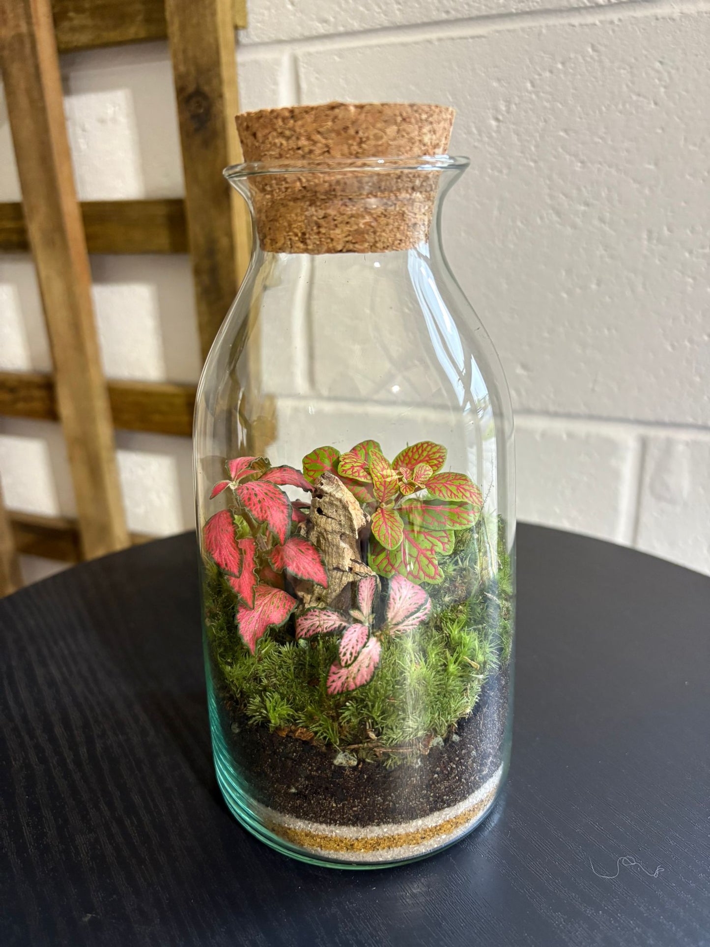 Ready-made Terrarium – Chloe Jar