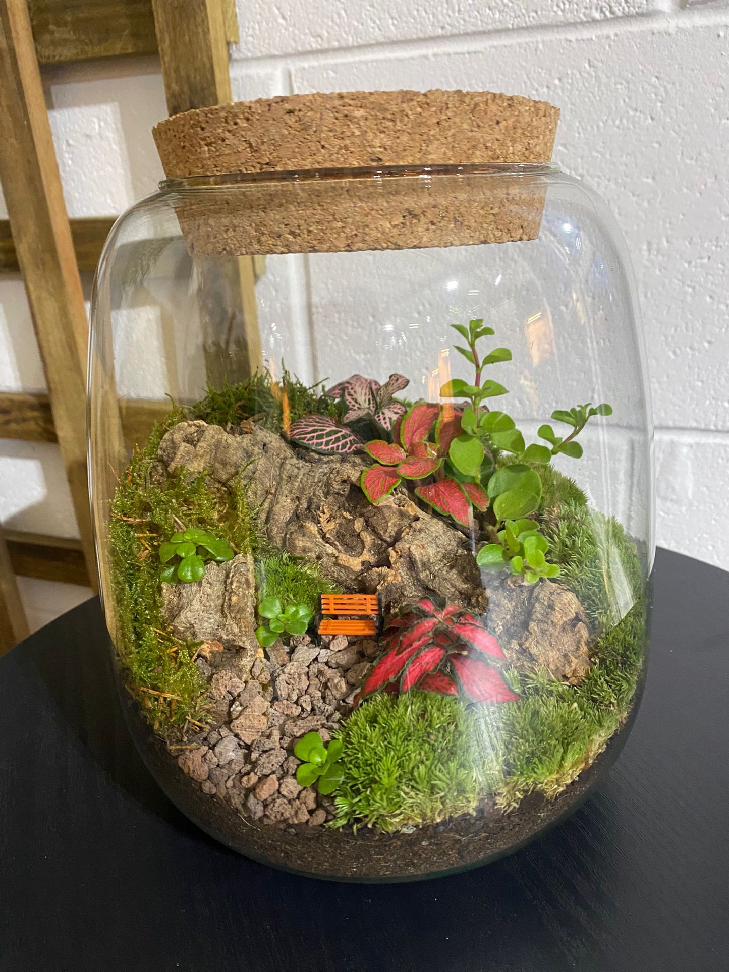 Ready-made Terrarium – Anna Jar