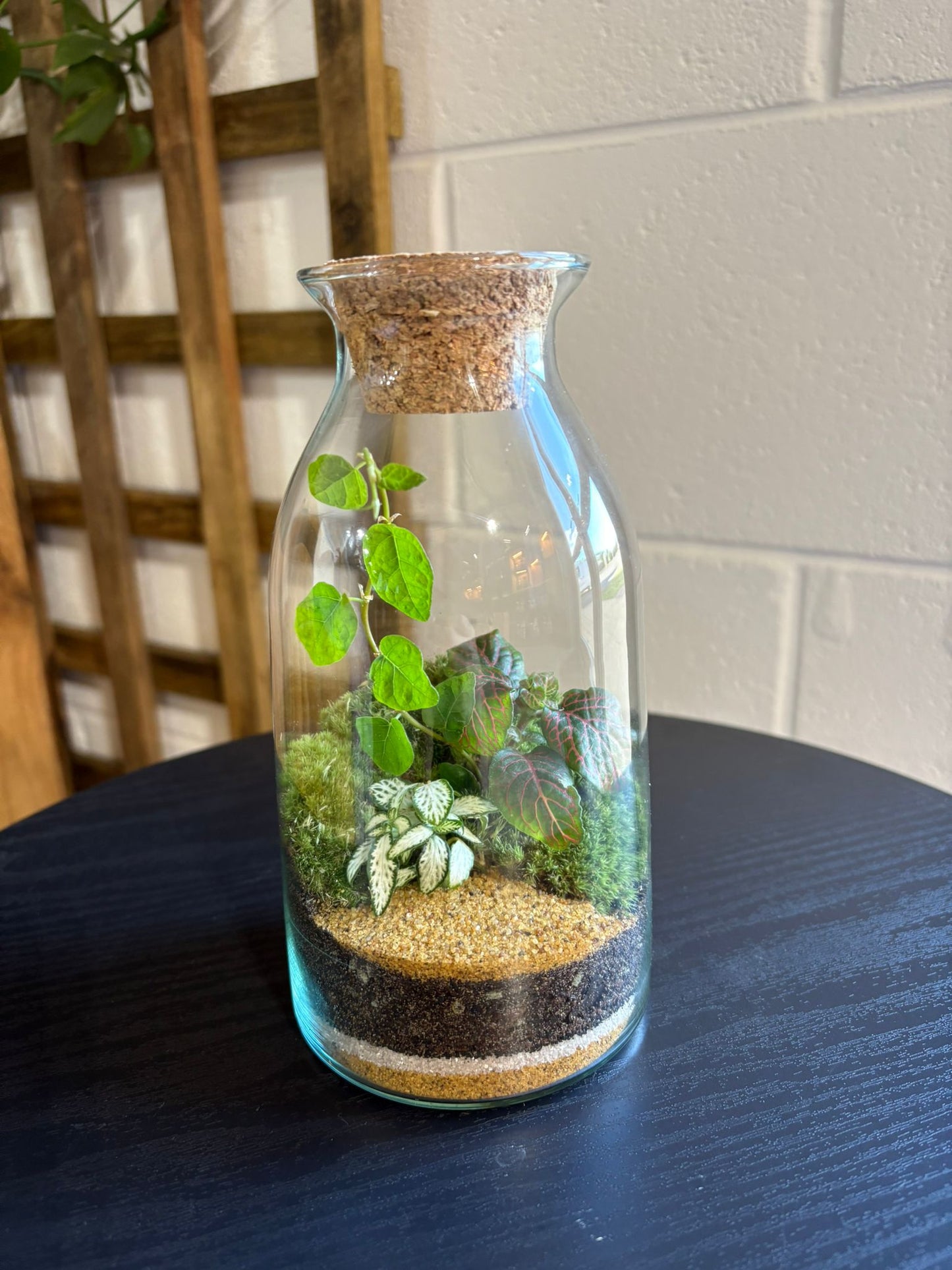 Ready-made Terrarium – Chloe Jar
