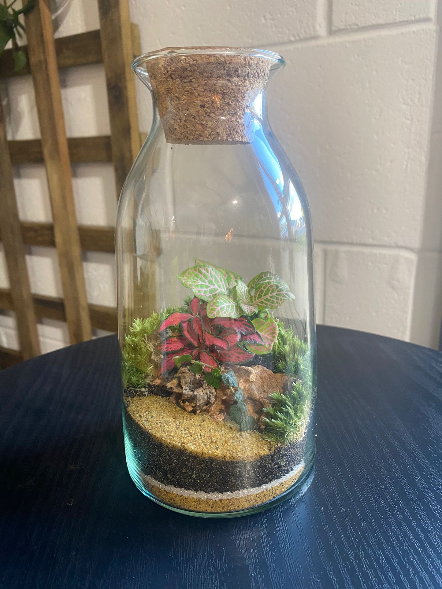 Ready-made Terrarium – Chloe Jar