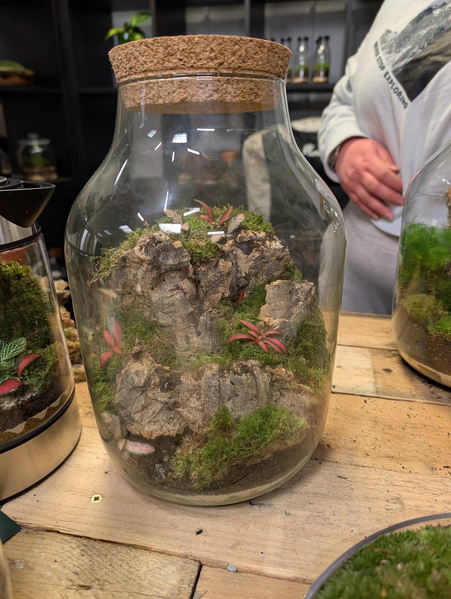 Ready-made Terrarium - 'Hazel'