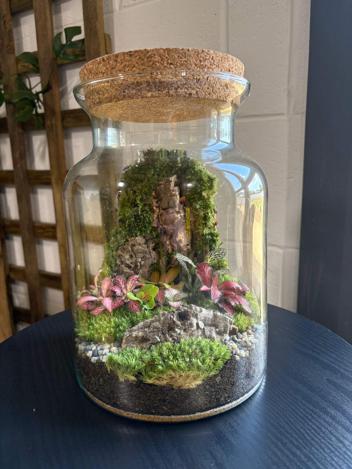 Ready-made Terrarium – Unique Jar