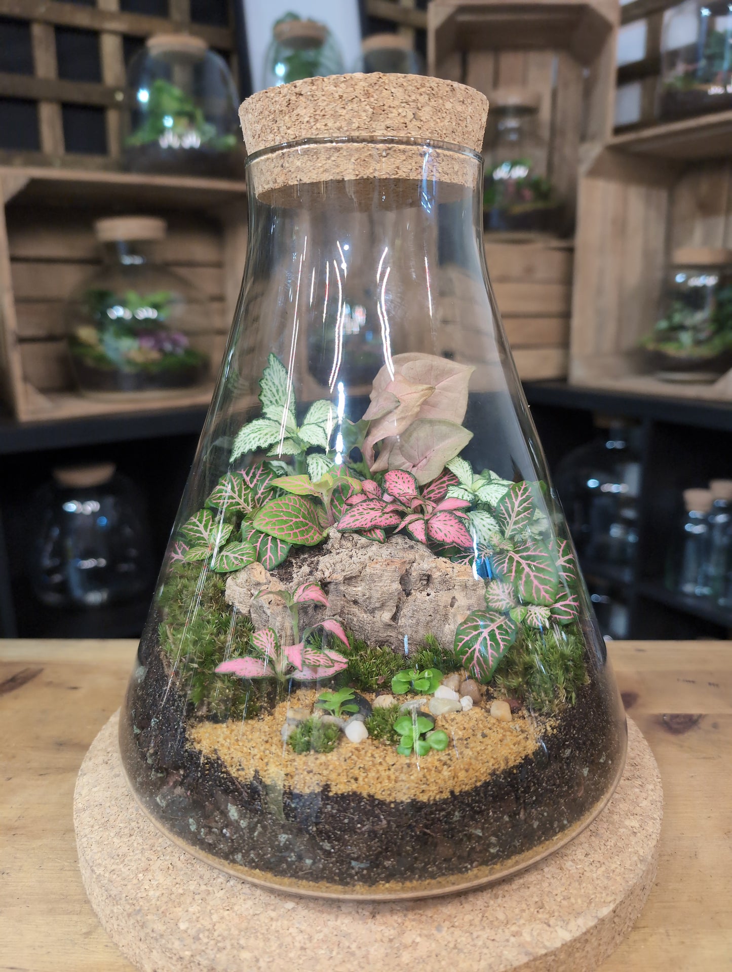 Ready-made Terrarium – Verity Jar