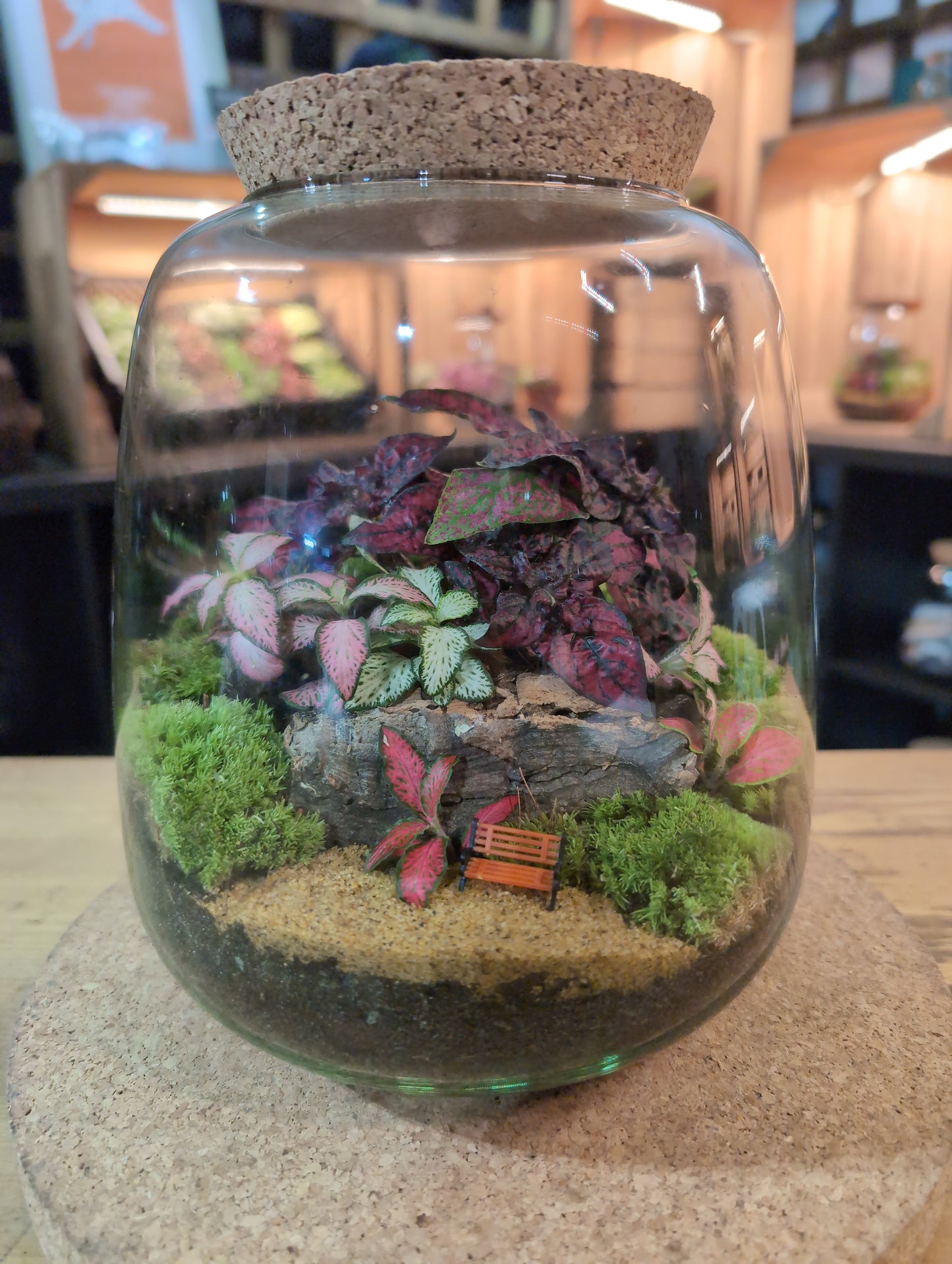 Ready-made Terrarium – Anna Jar