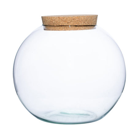 PREORDER - Ready-made Terrarium