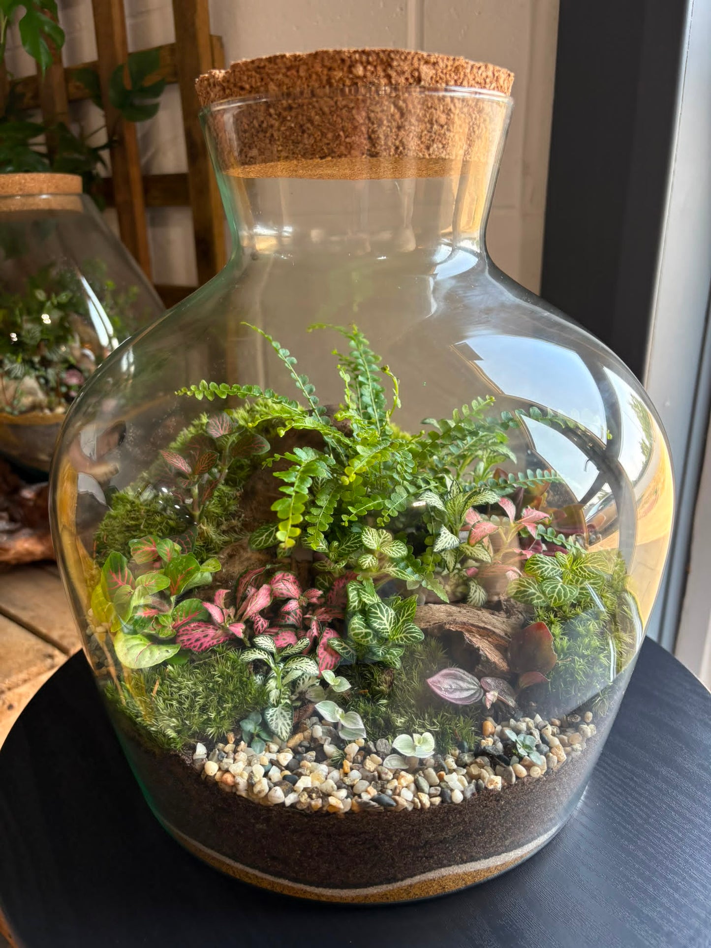 Ready-made Terrarium – Neev Jar