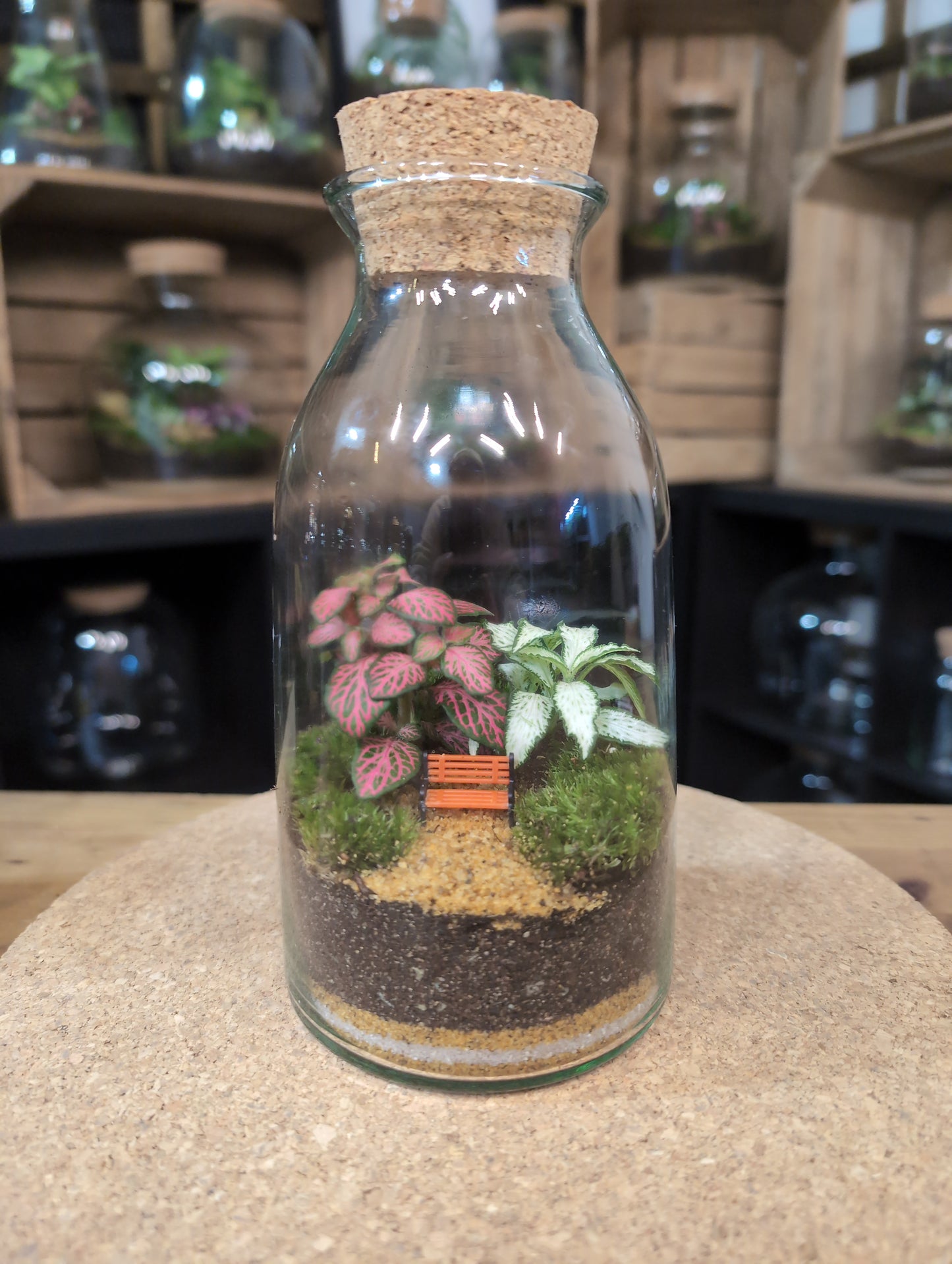 Ready-made Terrarium – Chloe Jar