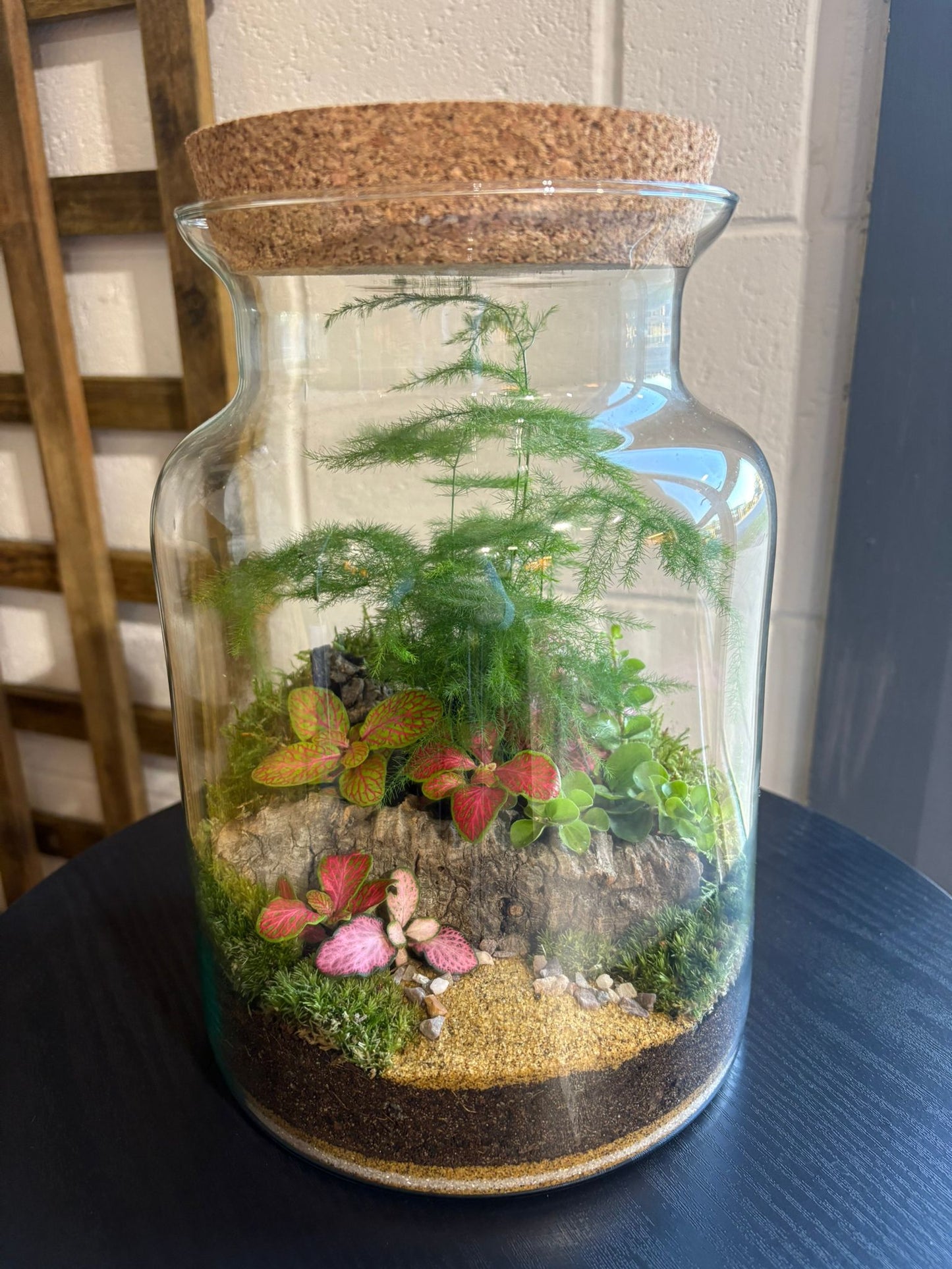 Ready-made Terrarium – Unique Jar