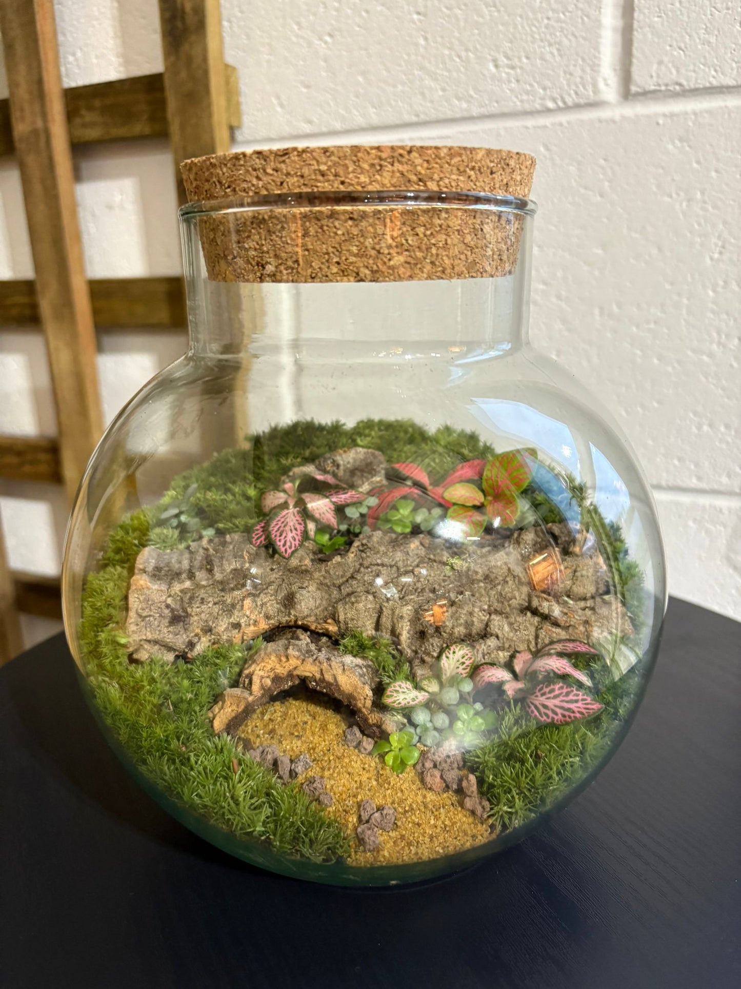 Ready-made Terrarium – George Jar