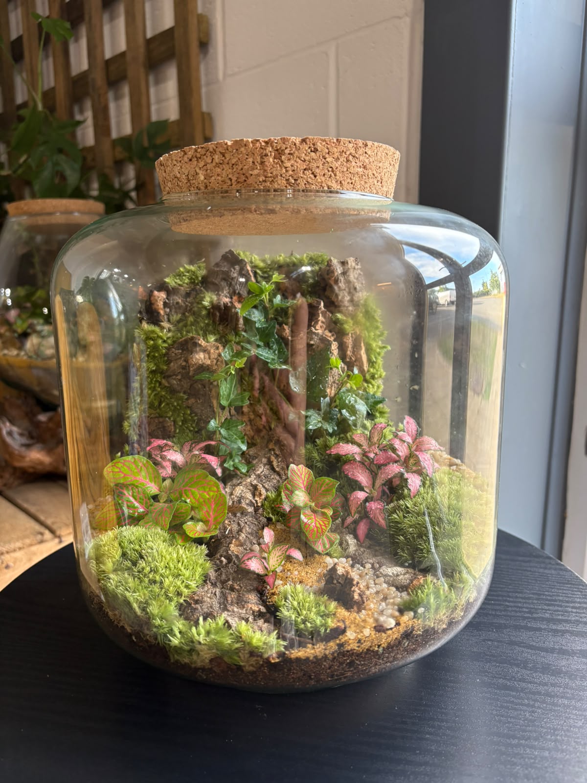 Ready-made Terrarium – Unique Jar