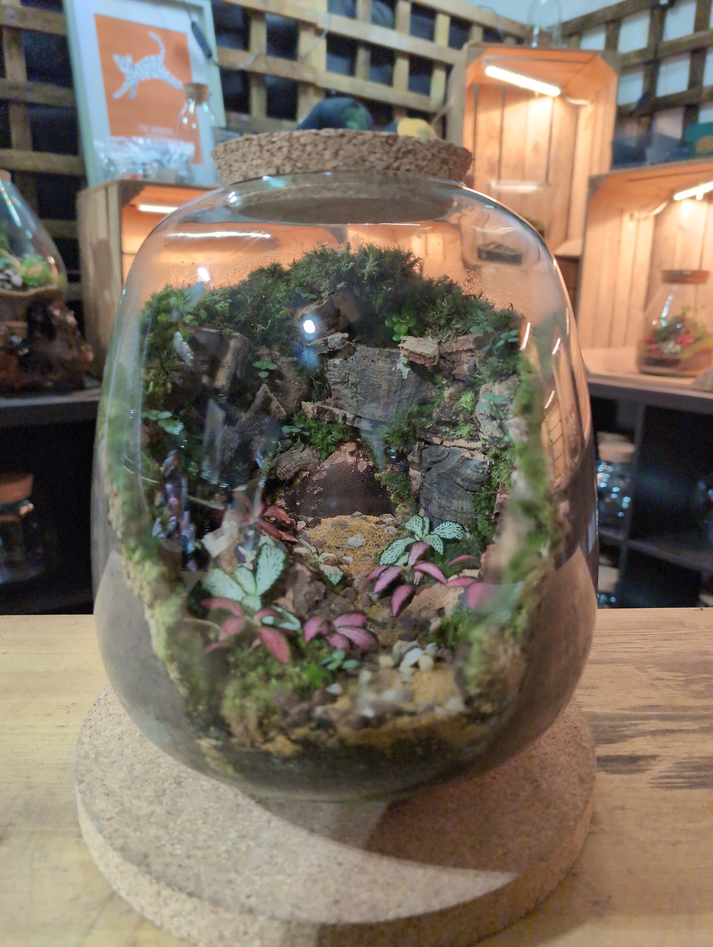 Ready-made Terrarium – Hannah Jar