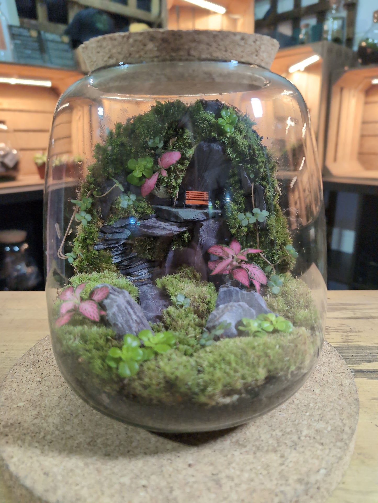 Ready-made Terrarium – Anna Jar