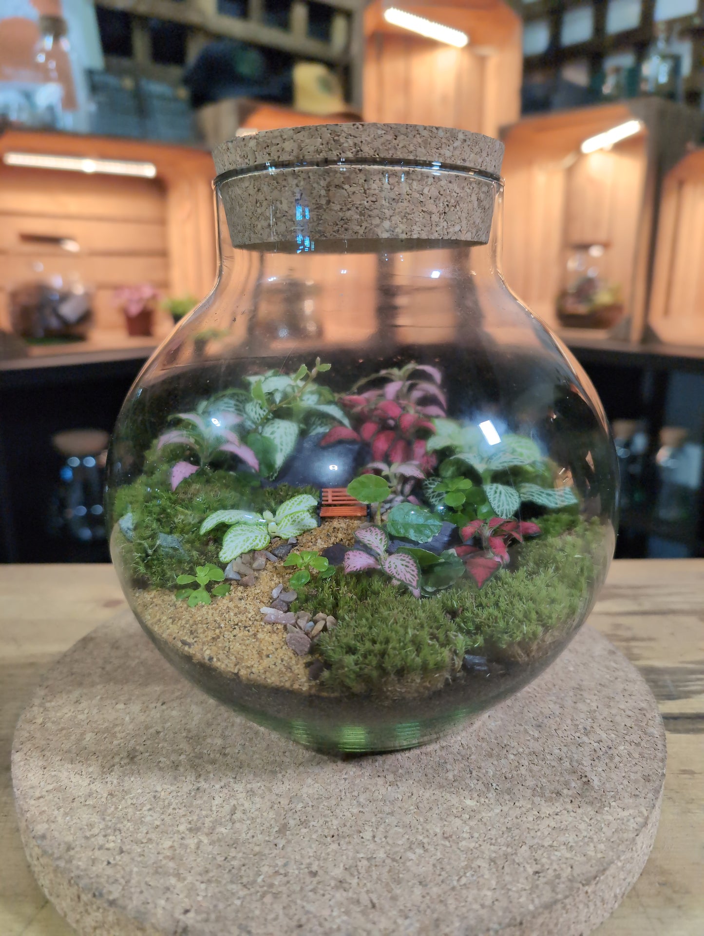 Ready-made Terrarium – George Jar