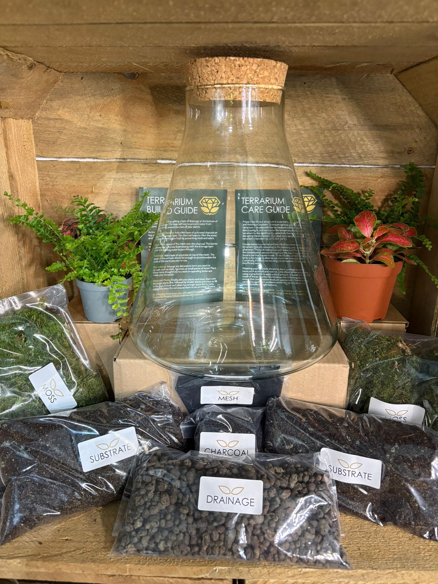 DIY Terrarium Kit - 'Verity'