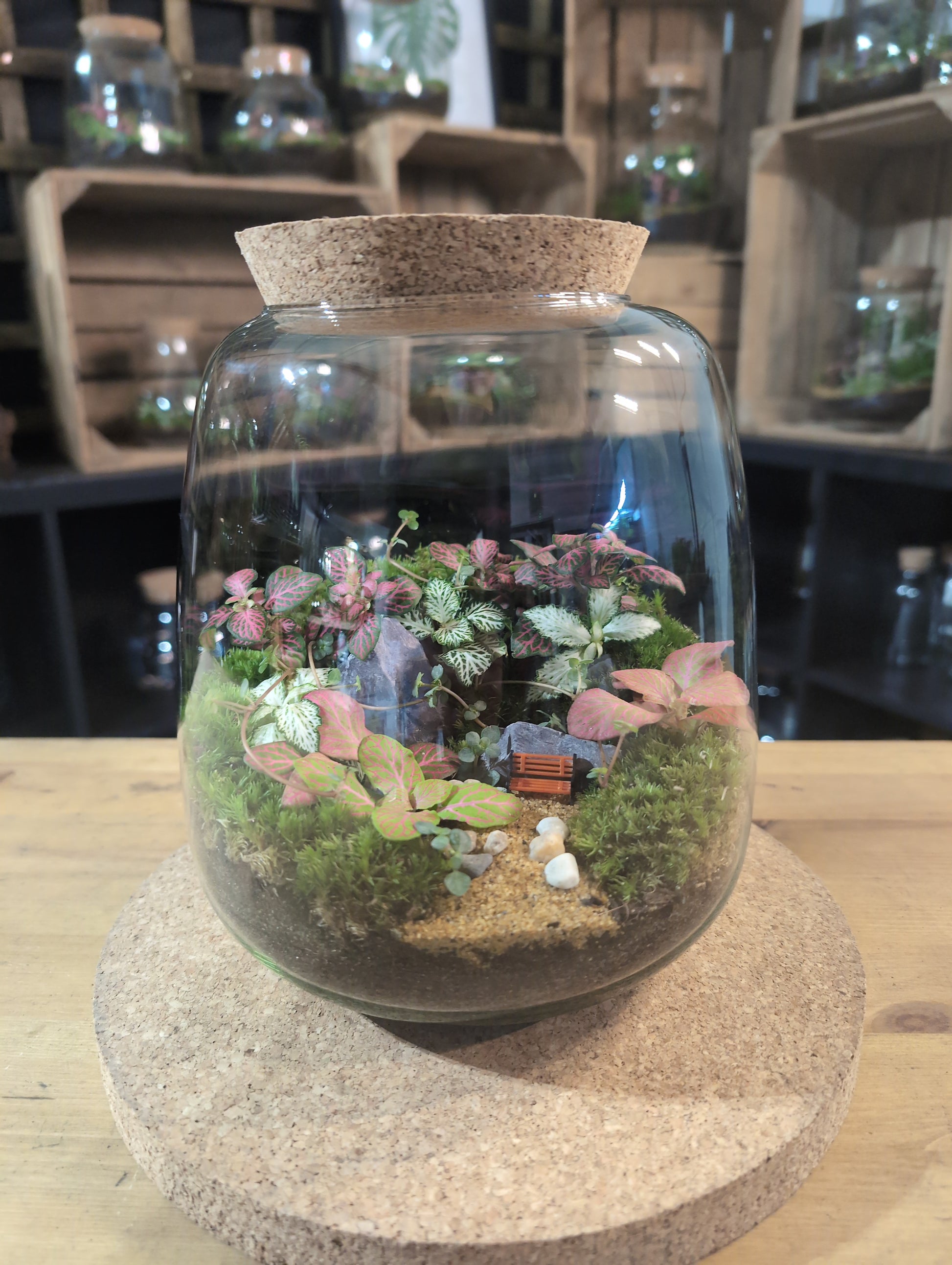 terrarium for plants uk Ready-made Terrarium – Anna Jar – EcoTreasures