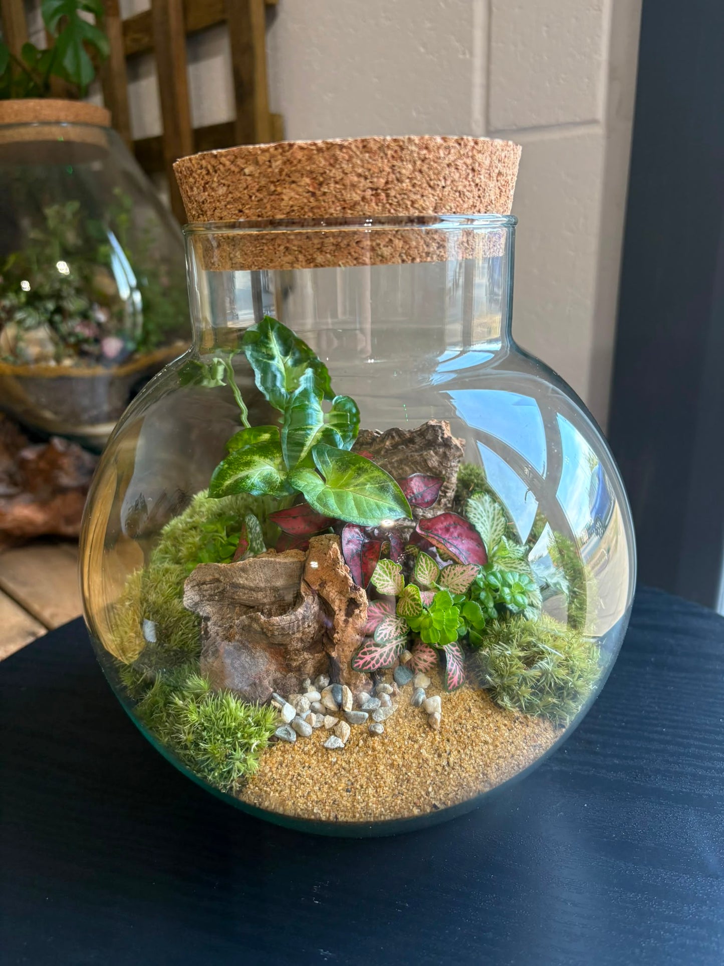 Ready-made Terrarium – George Jar
