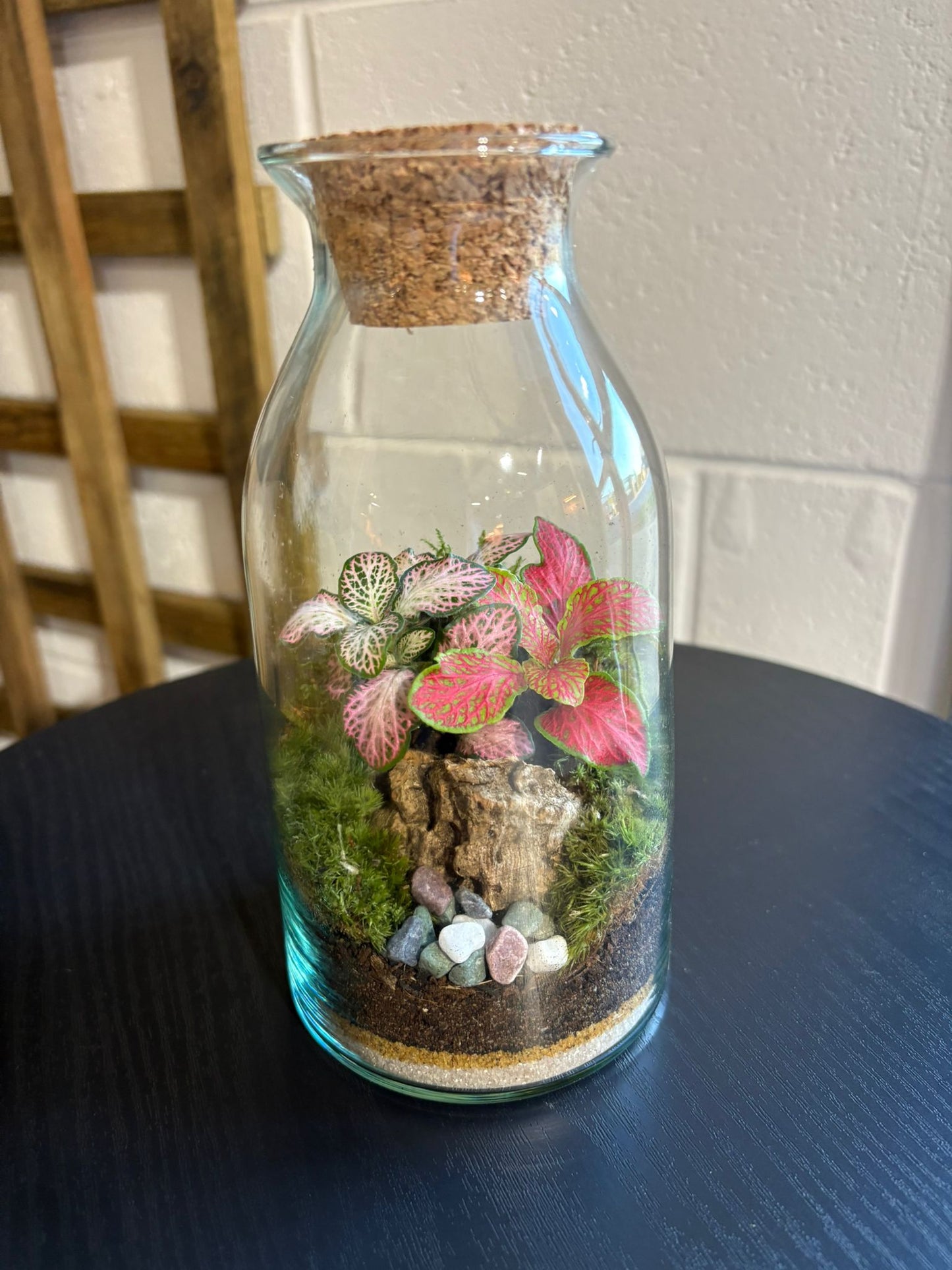 Ready-made Terrarium – Chloe Jar