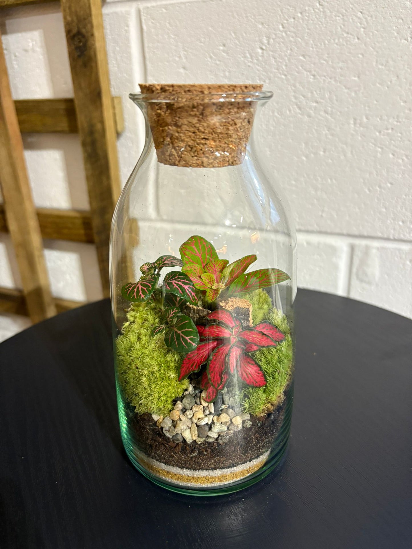Ready-made Terrarium – Chloe Jar