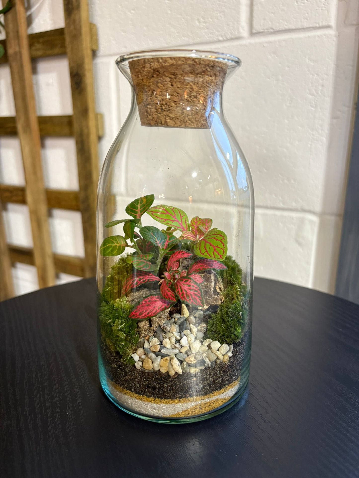 Ready-made Terrarium – Chloe Jar