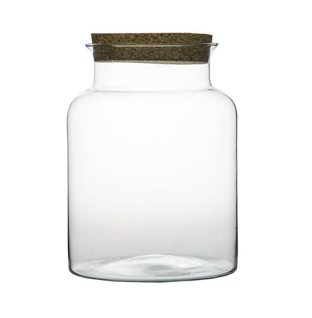 PREORDER - Ready-made Terrarium