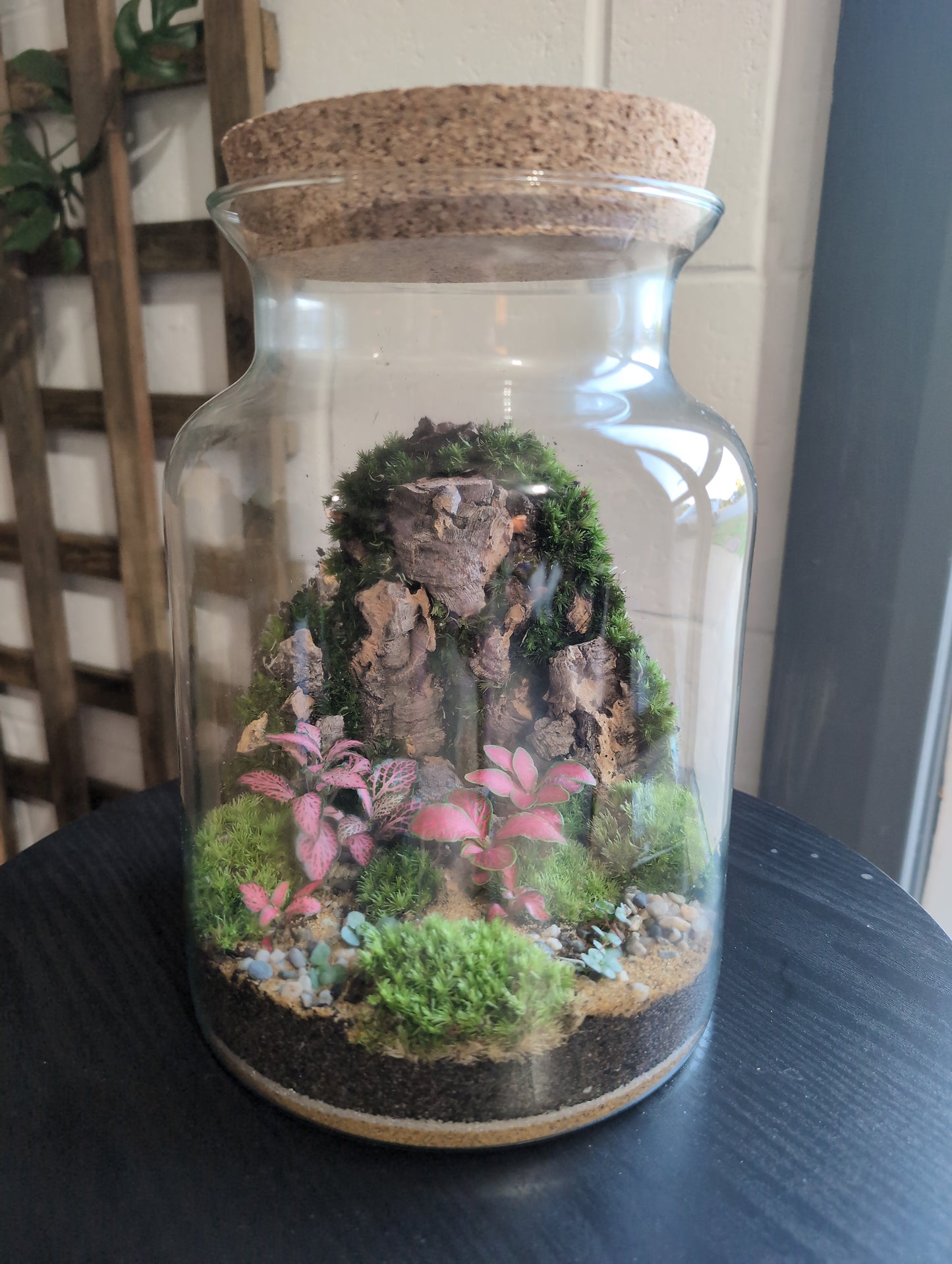 Ready-made Terrarium – Unique Jar