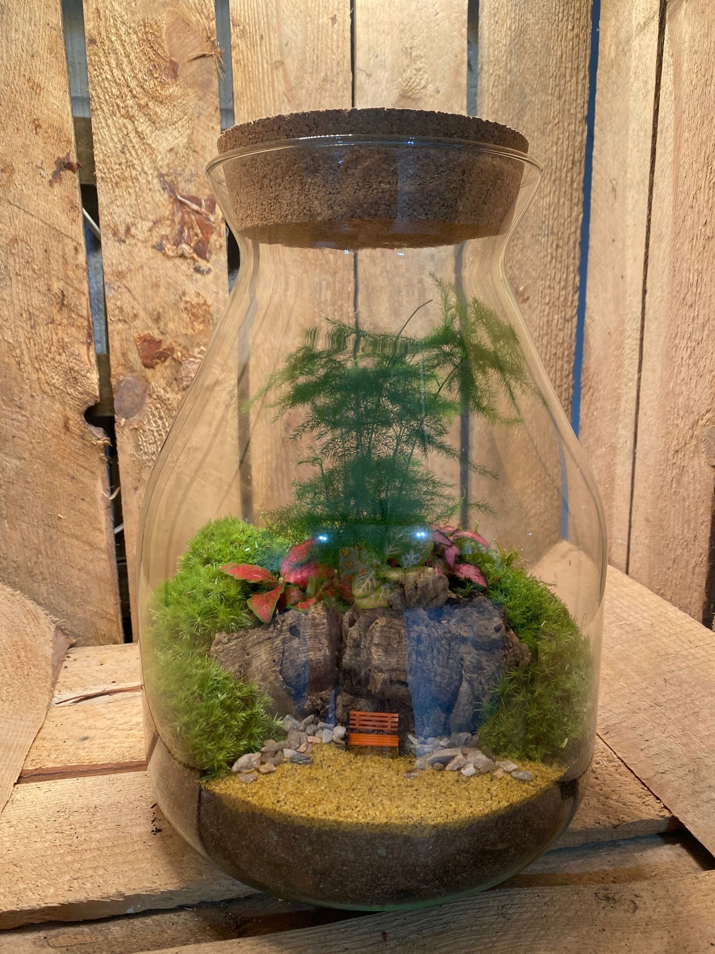 Ready-made Terrarium – Jamie Jar