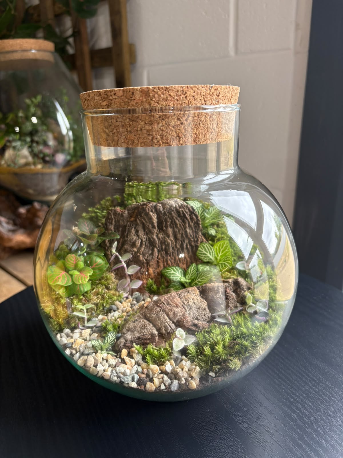 Ready-made Terrarium – George Jar