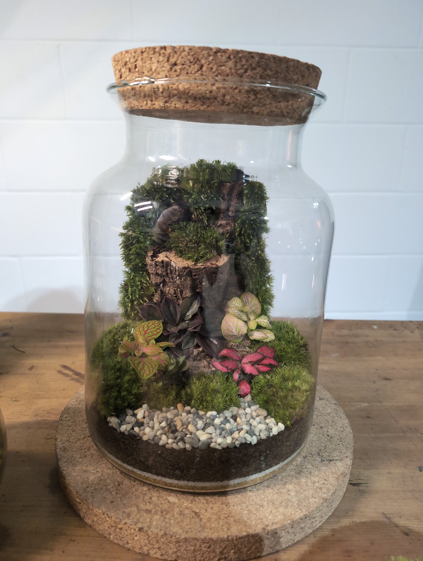 Ready-made Terrarium – Unique Jar