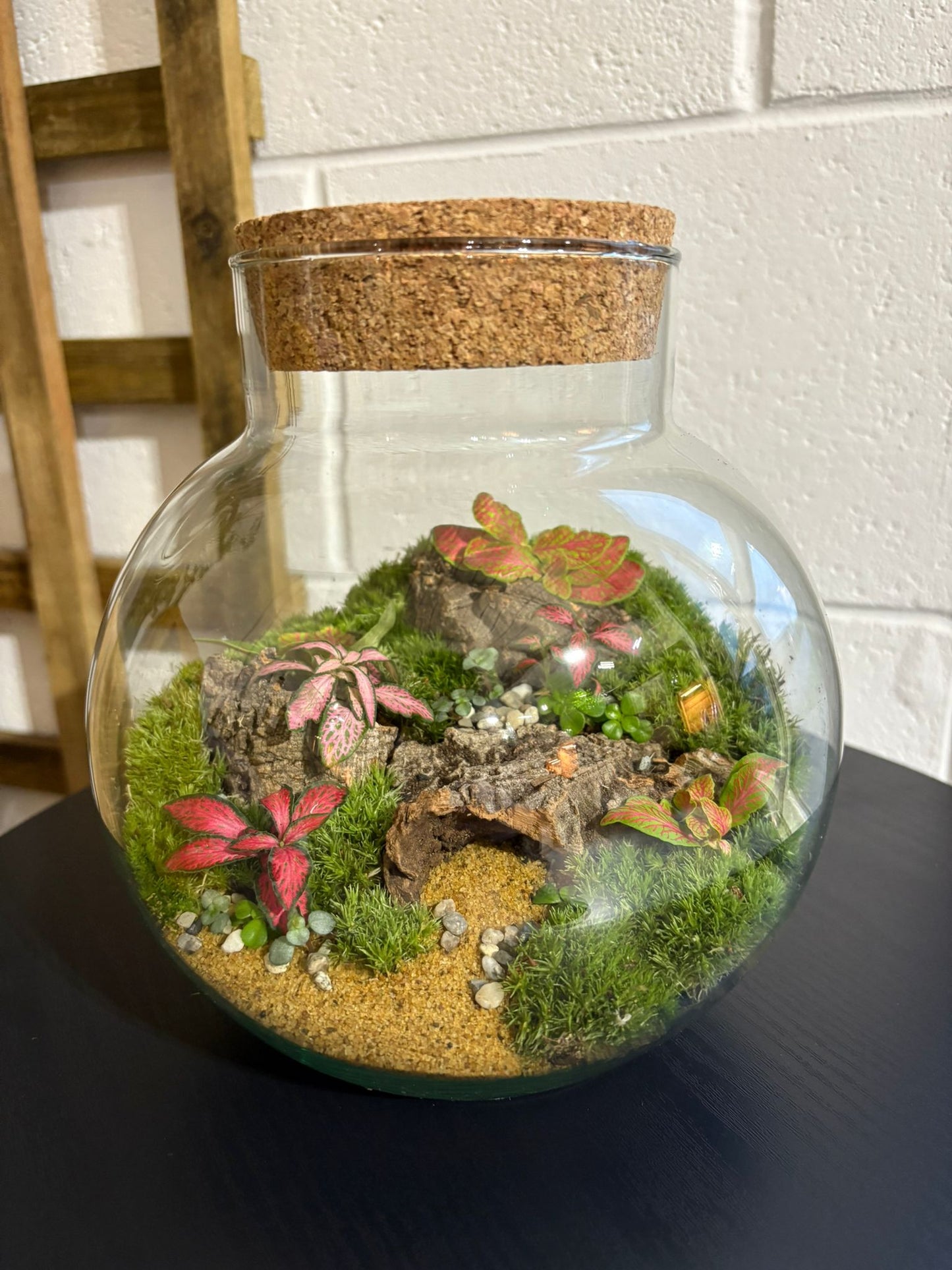 Ready-made Terrarium – George Jar
